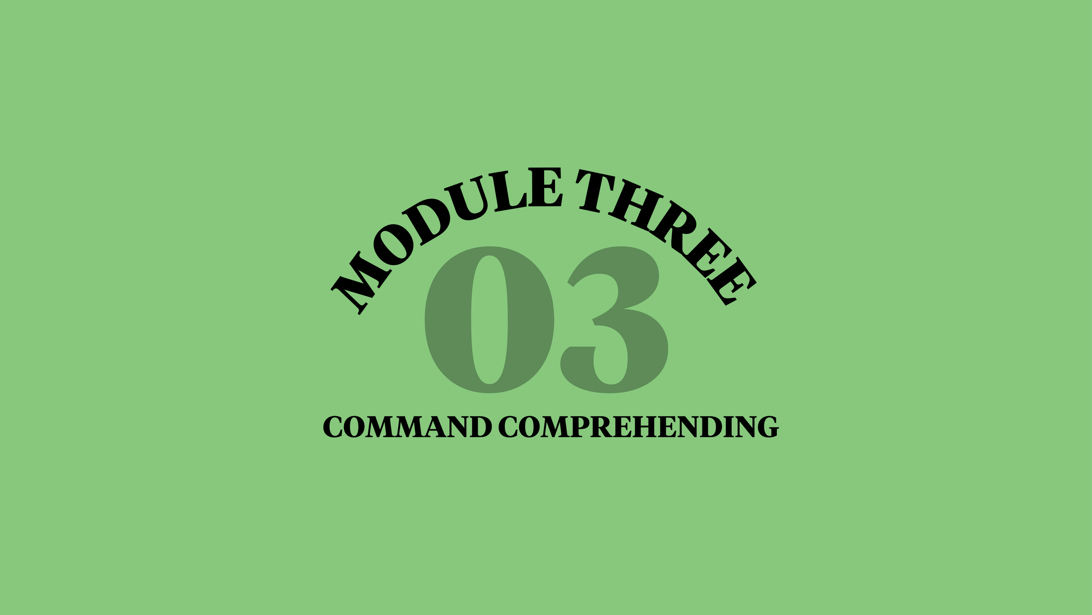 Module 3: Command Comprehending